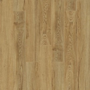 Феррара J1009