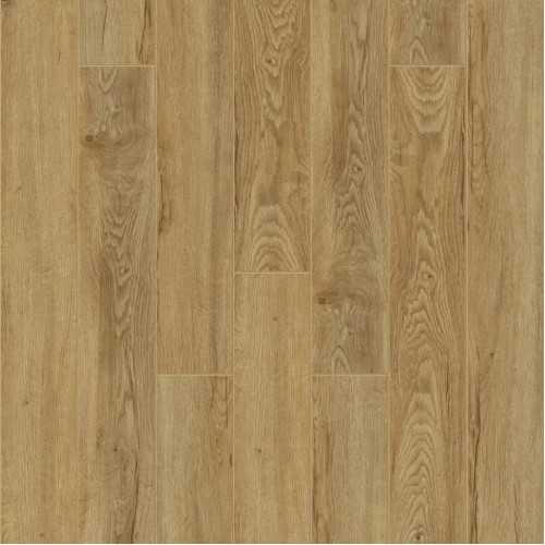 Феррара J1009