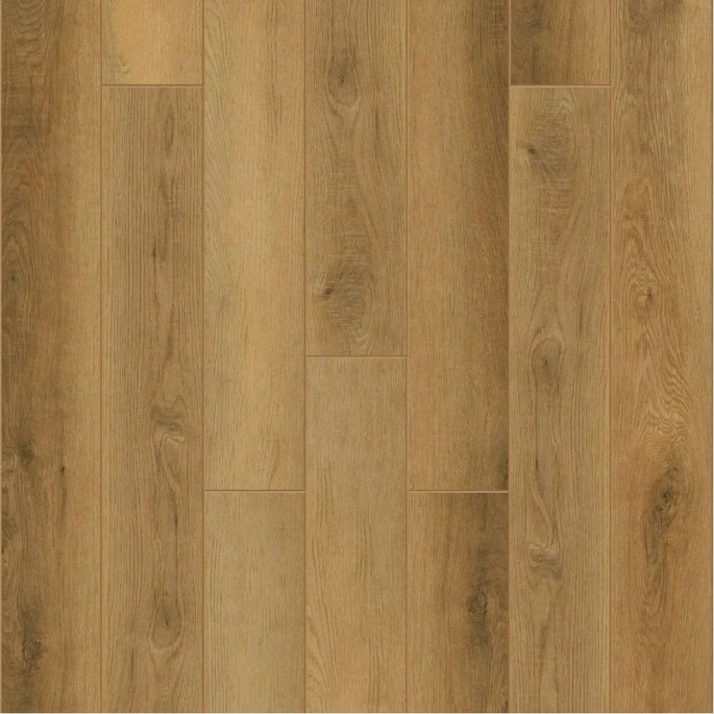 Каррара J1008
