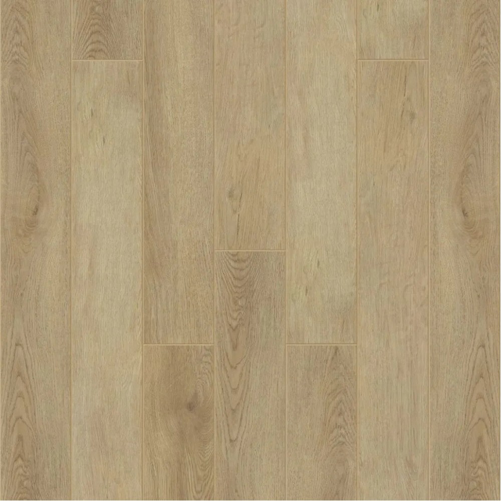 Зиркон J1006