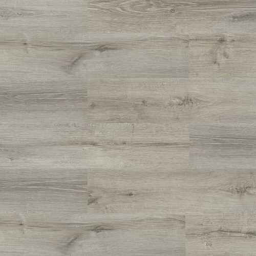 Дуб Перламутр 0423