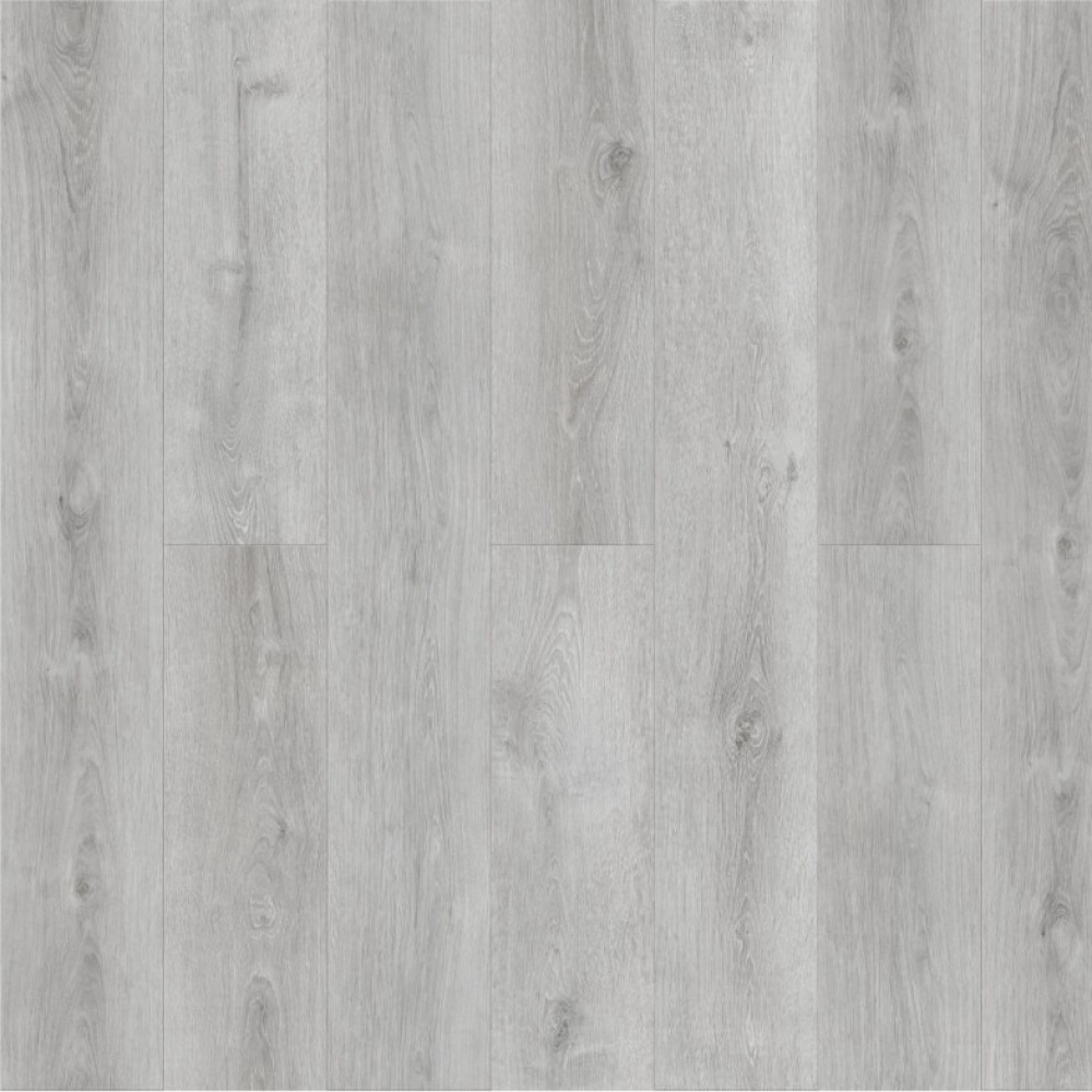 Дуб Сонора Q 506