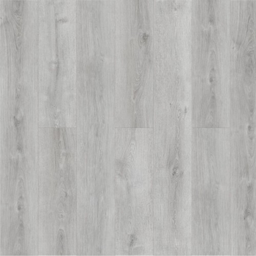 Дуб Сонора Q 506