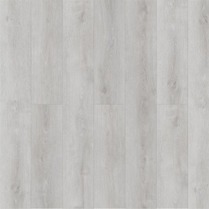 Дуб Цайдам Q 504