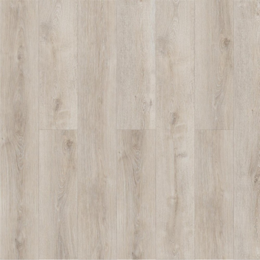 Дуб Данкиль Q 509