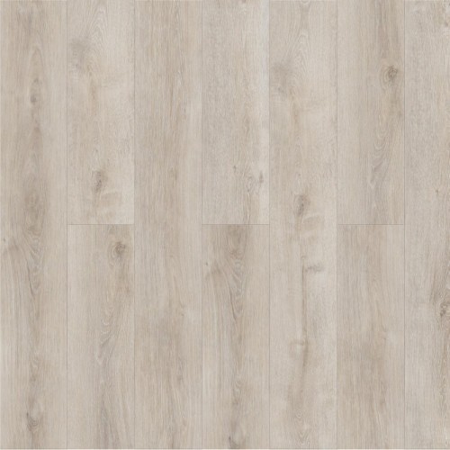 Дуб Данкиль Q 509