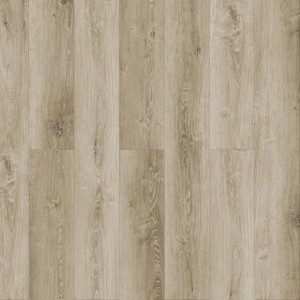 Дуб Сахара Q 503