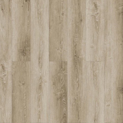 Дуб Сахара Q 503