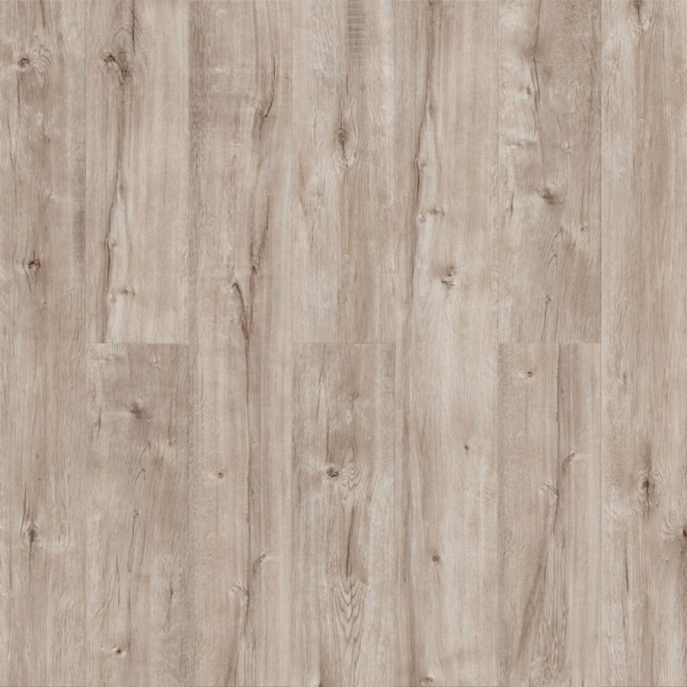 Дуб Алеч Q 515