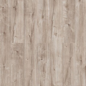 Дуб Алеч Q 515