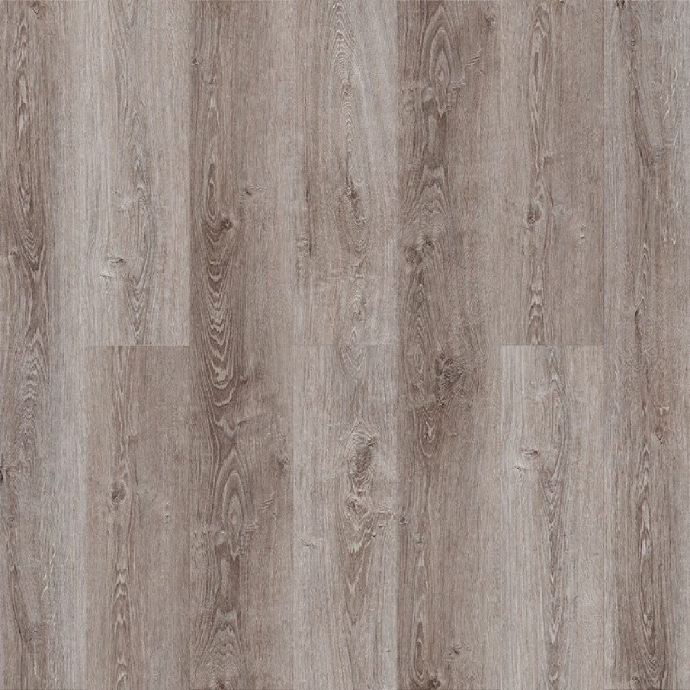 Дуб Мидуи Q 517