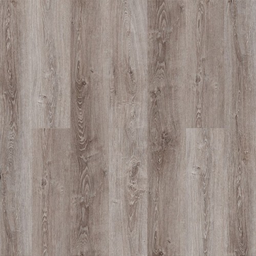 Дуб Мидуи Q 517