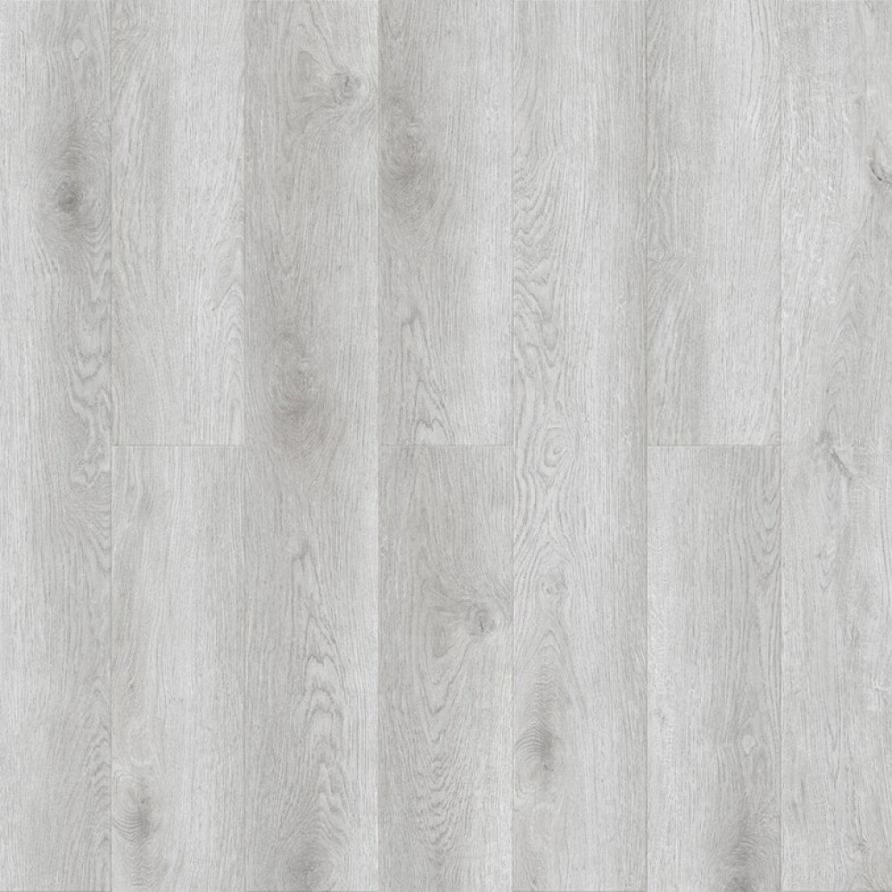 Дуб Морена Q 512