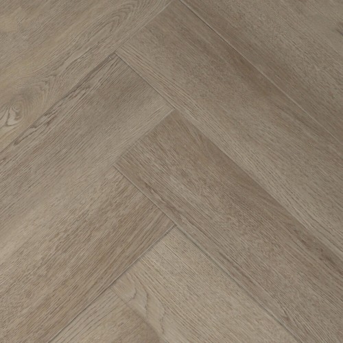 Дуб Монтана R2022