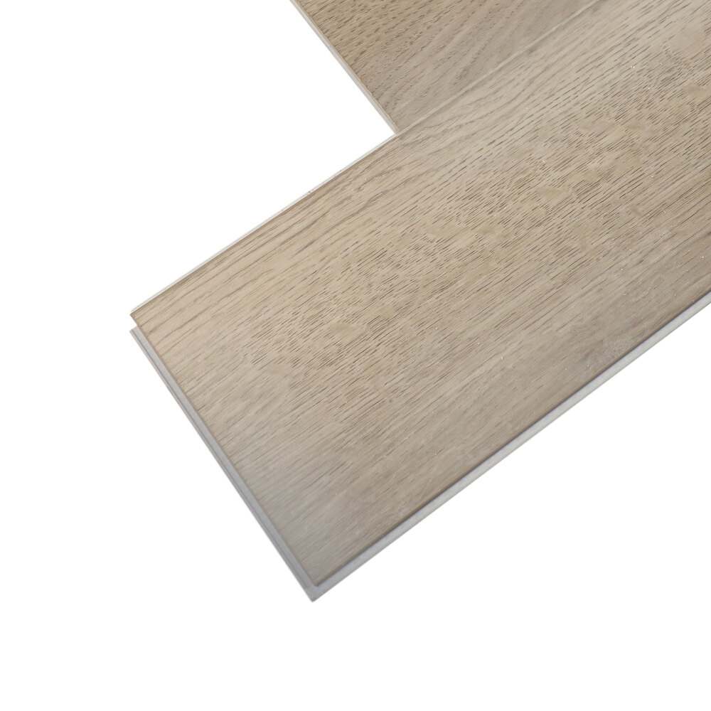 Дуб Монтана R2022