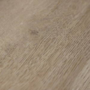 Дуб Монтана R2022