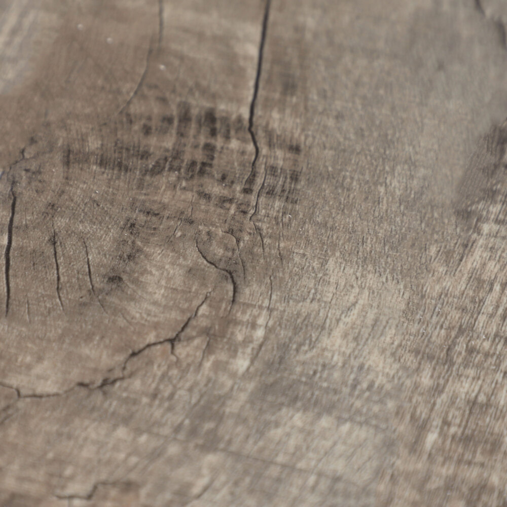 Дуб Валентайн R2026