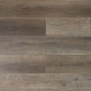 Дуб Дерби U1970