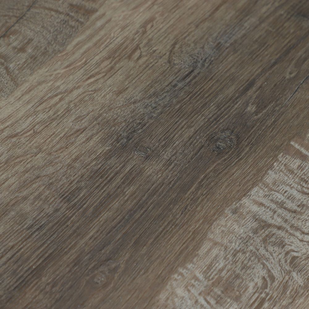 Дуб Дерби U1970