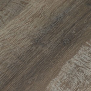 Дуб Дерби U1970