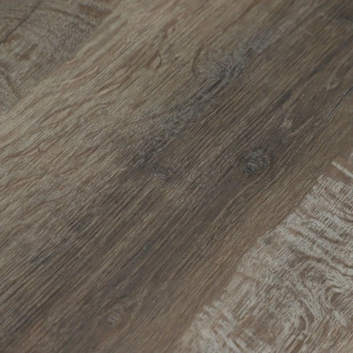 Дуб Дерби U1970