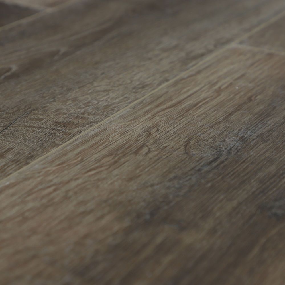 Дуб Дерби U1970