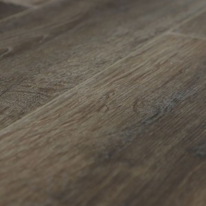 Дуб Дерби U1970