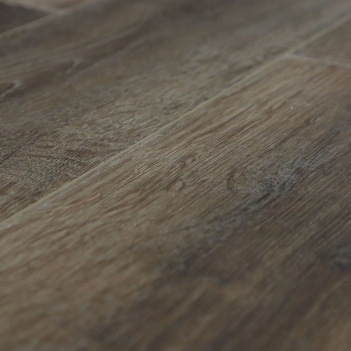 Дуб Дерби U1970