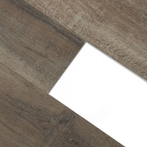 Дуб Дерби U1970