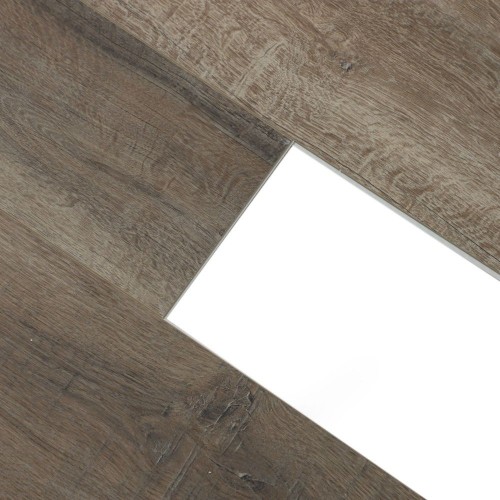 Дуб Дерби U1970