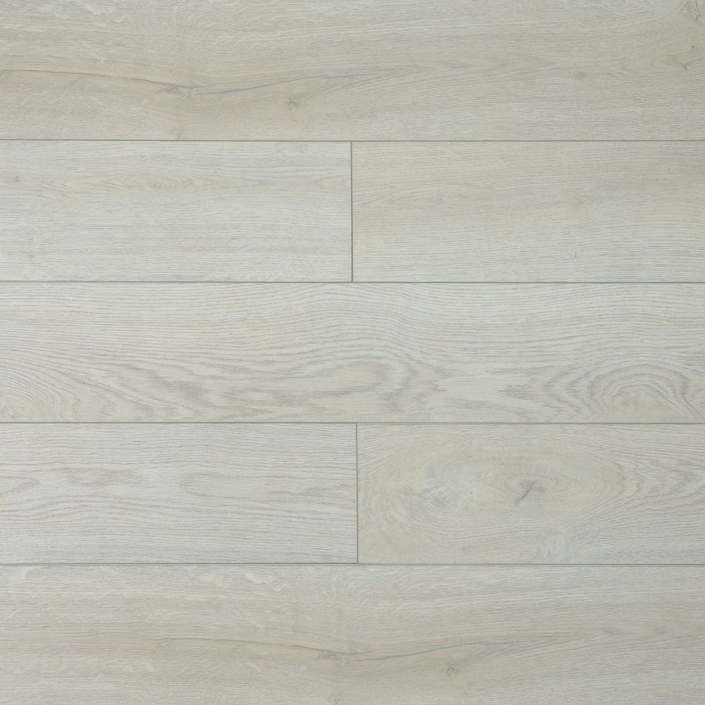 Дуб Рома U1964