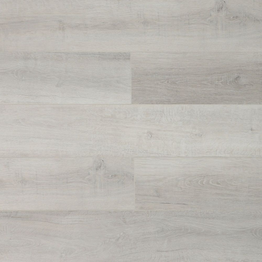 Дуб Албани U1961