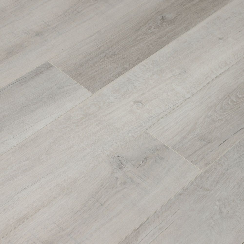 Дуб Албани U1961