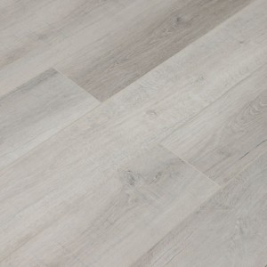 Дуб Албани U1961