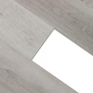 Дуб Албани U1961