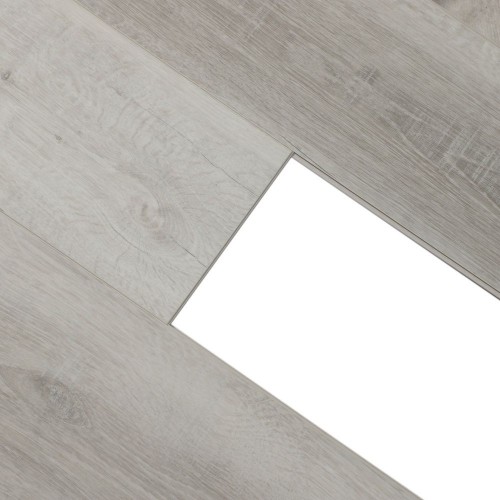 Дуб Албани U1961