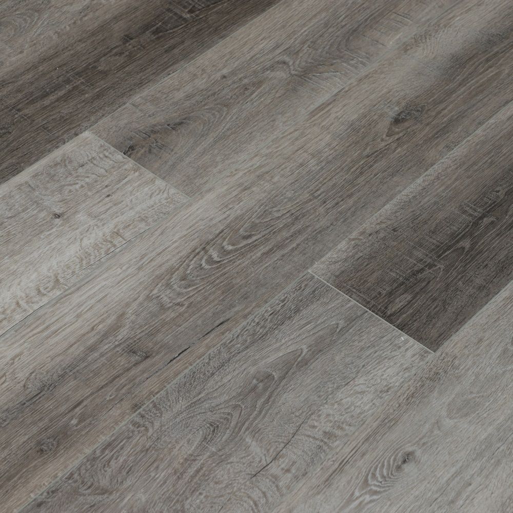 Дуб Маккай U1968