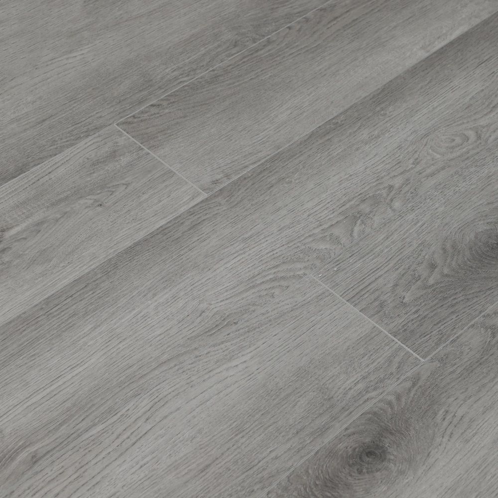 Дуб Дарвин U1963