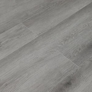 Дуб Дарвин U1963