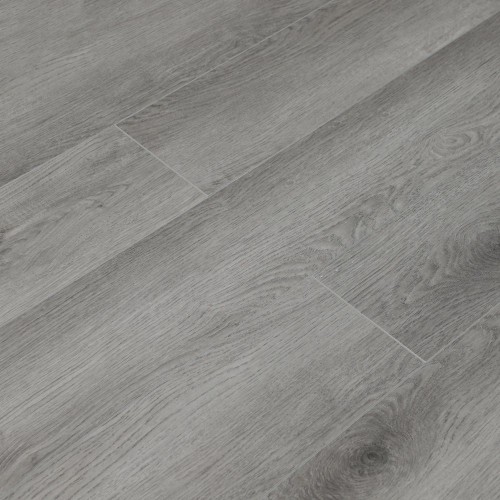 Дуб Дарвин U1963