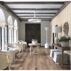 Дуб Бендиго U1966