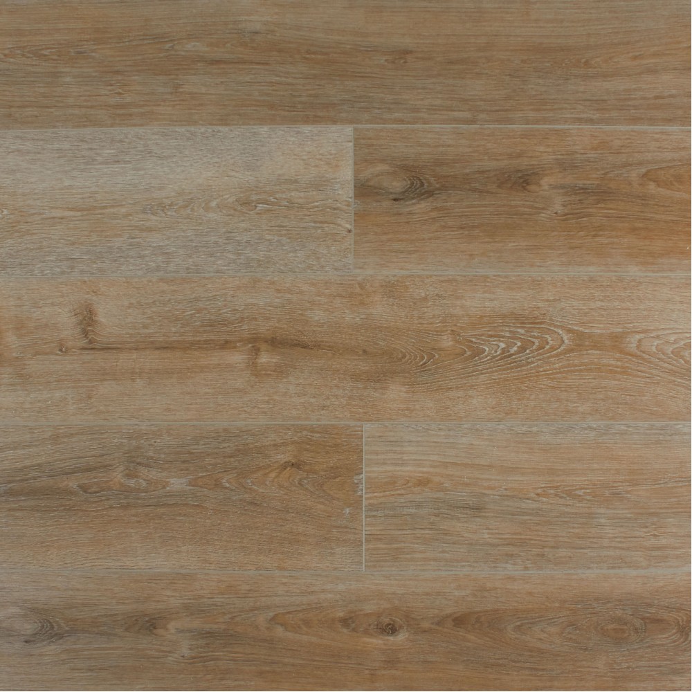 Дуб София SE-715