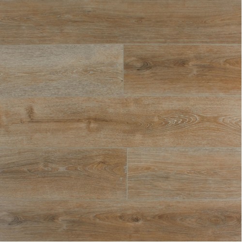 Дуб София SE-715