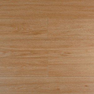 Дуб Махабодхи SE-717