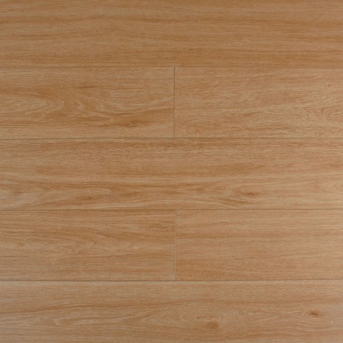 Дуб Махабодхи SE-717