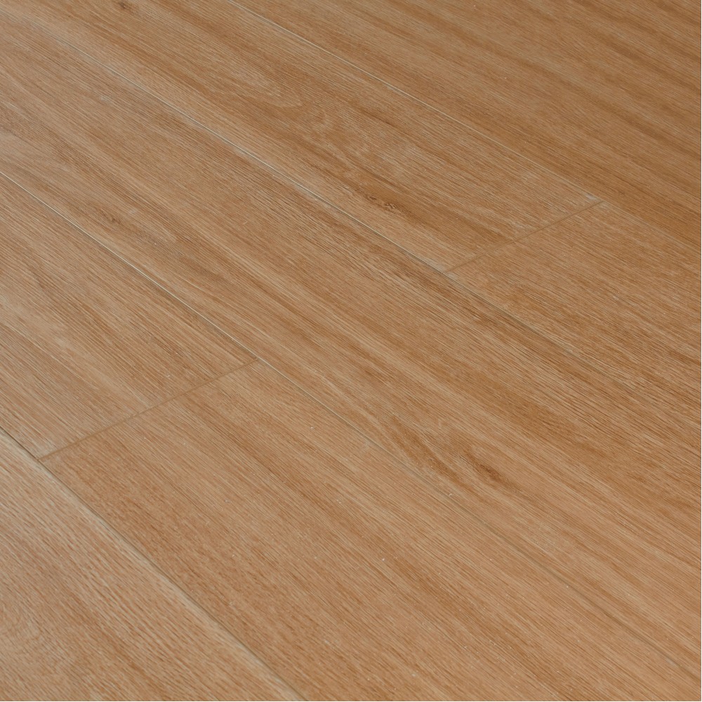 Дуб Махабодхи SE-717