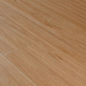 Дуб Махабодхи SE-717