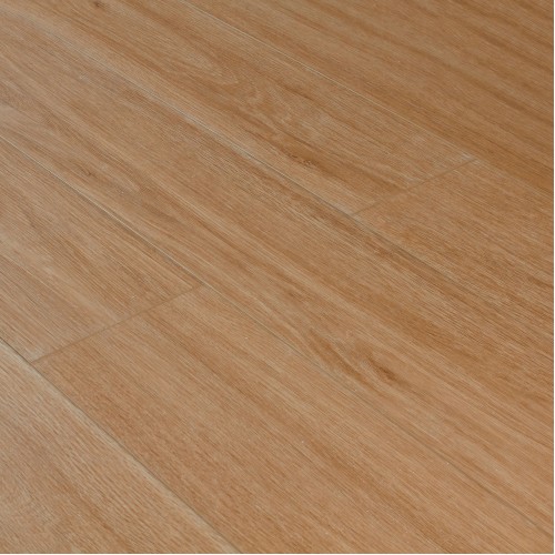 Дуб Махабодхи SE-717