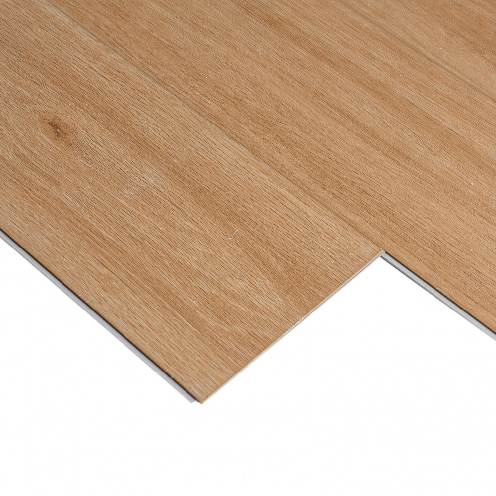 Дуб Махабодхи SE-717