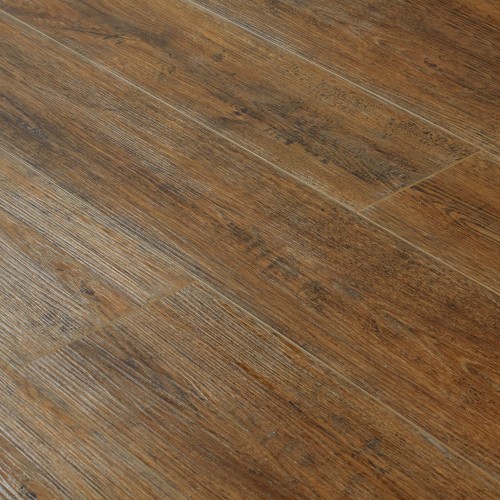 Дуб Зайда SE-709